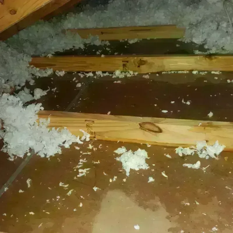 Attic Water Damage in Lewiston, MN