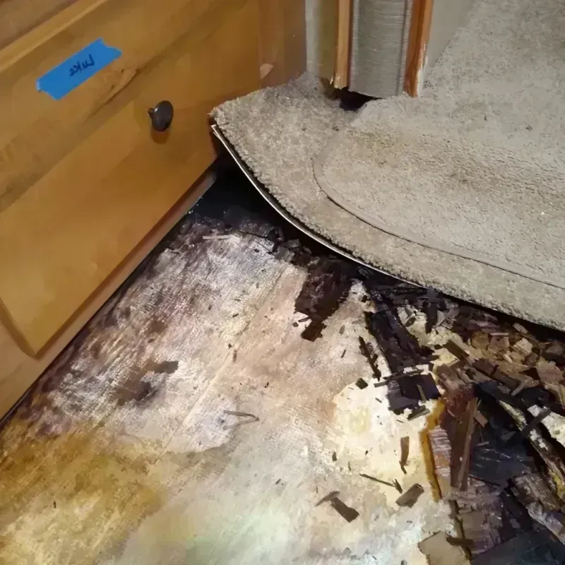 Wood Floor Water Damage in Lewiston, MN